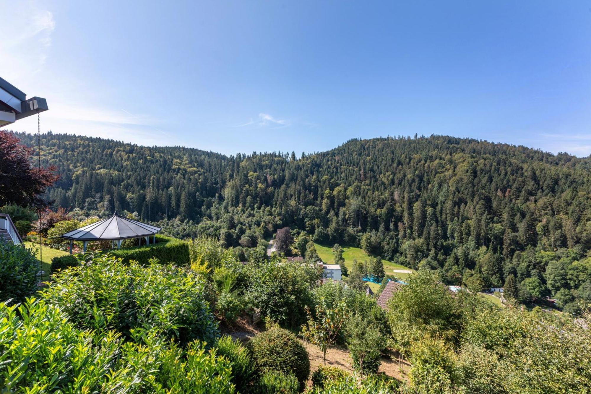Triberg Blick Lejlighed Triberg im Schwarzwald Eksteriør billede